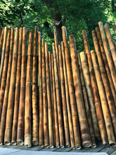 Load image into Gallery viewer, Bamboo Poles for Sale - BambooUSAShop
