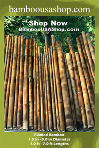 Flamed Bamboo - 1.5 in - 5.0 in Diameter  x 1.0 ft - 7.0 ft  Lengths - bamboousashop.com