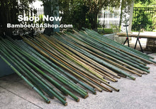Load image into Gallery viewer, Bamboo Poles-Fresh Cut Natural Bamboo (1.5 inch Diameter, choose from 1 to 7 feet long)-Lot of 4 - BambooUSAShop
