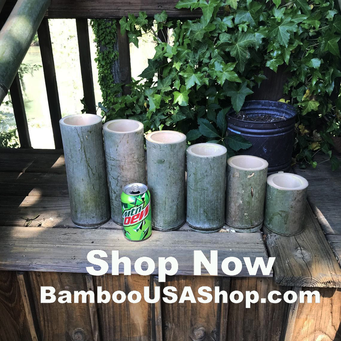 Bamboo Poles - Lot of (6) Green Bamboo Pieces (3.75