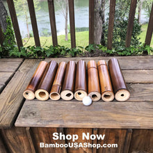 Load image into Gallery viewer, Bamboo Poles -Lot of 8 Flamed Bamboo Pole Pieces (2&quot;- 2.5&quot; diam. x 1 ft long) -  bamboousashop.com
