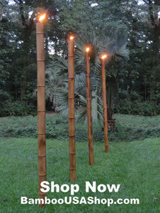 Bamboo Poles -Lot of (2) Giant Flamed Bamboo Poles (4" dia x 1'-7' length) - bamboousashop.com - Tiki Torch Bamboo Poles