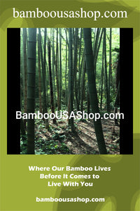 Bamboo Poles -Flamed Large-3.5" Diameter--1.0 ft-7.0 ft Length